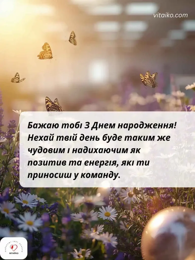 Метелики, ромашки та срібні кулі для святкового привітання колеги